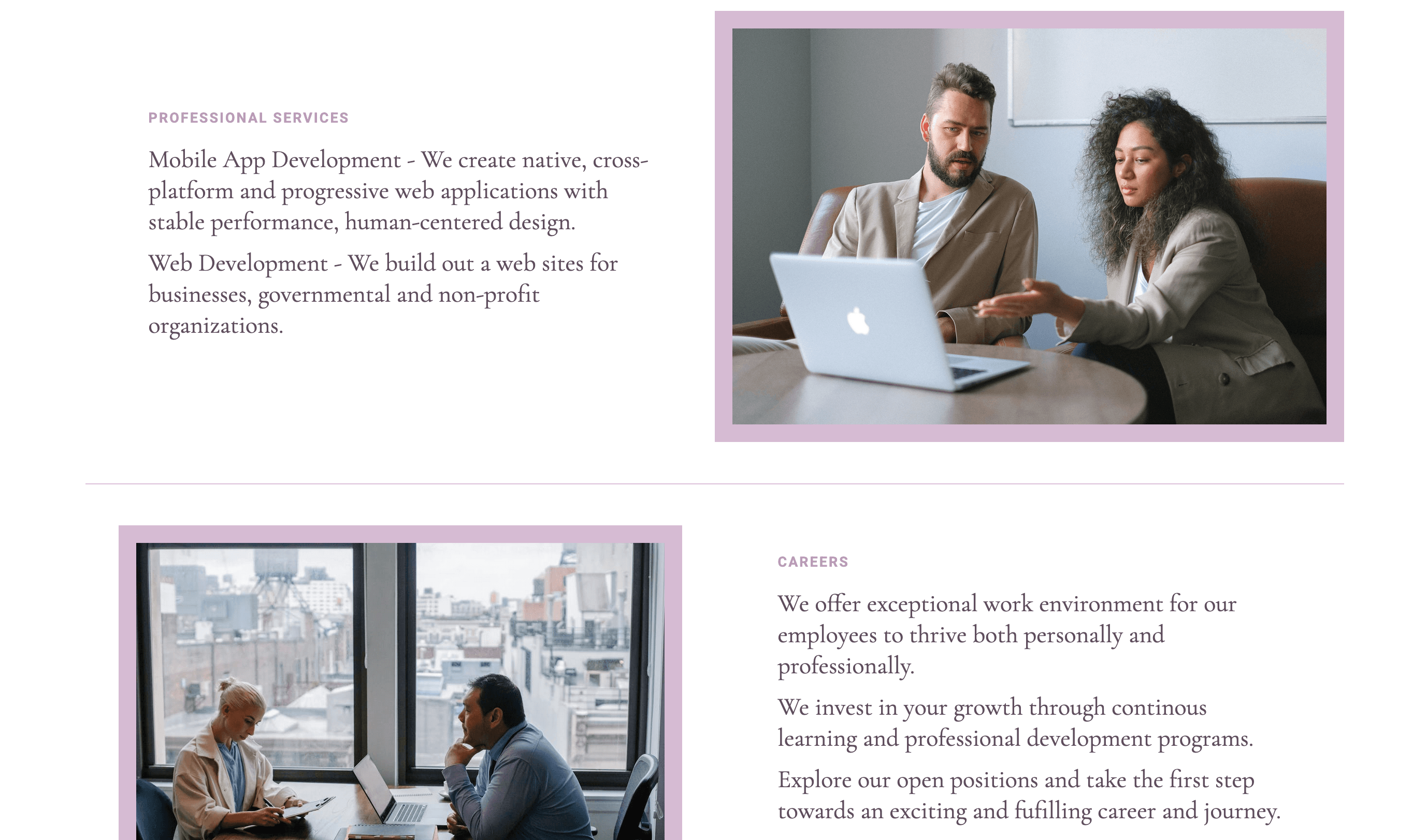 Windless Technologies Website preview